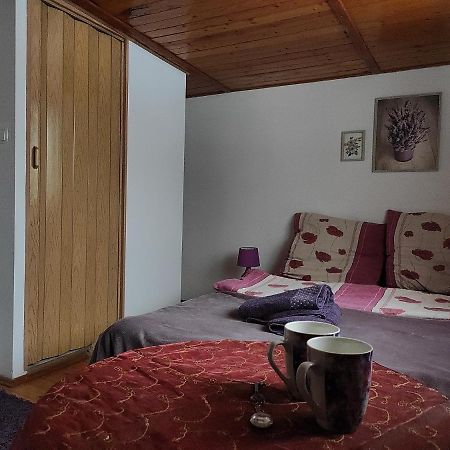 Home Stay Slotwinska Krynica Zdroj Exterior photo